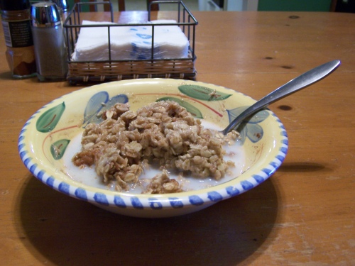 A steaming bowl of Apple Pie Oatmeal.  Photo taken by Robert Lee Foster.